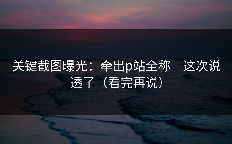 关键截图曝光：牵出p站全称｜这次说透了（看完再说）