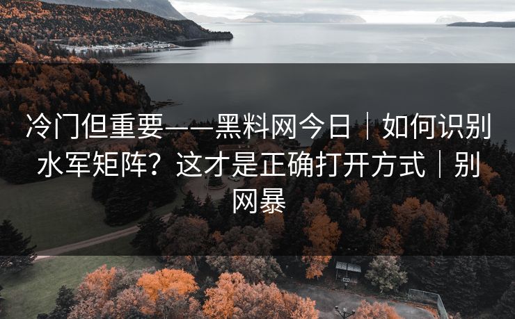 冷门但重要——黑料网今日｜如何识别水军矩阵？这才是正确打开方式｜别网暴