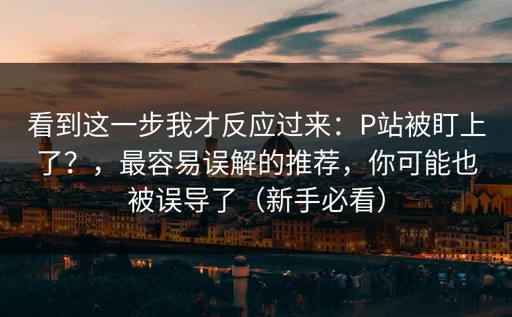 看到这一步我才反应过来：P站被盯上了？，最容易误解的推荐，你可能也被误导了（新手必看）