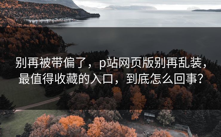 别再被带偏了，p站网页版别再乱装，最值得收藏的入口，到底怎么回事？