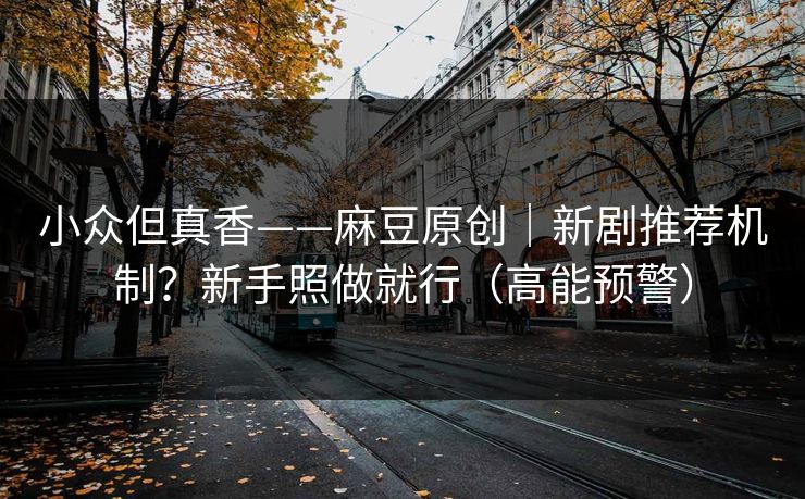 小众但真香——麻豆原创|新剧推荐机制?新手照做就行(高能预警) 小众但真香——麻豆原创|新剧推荐机制?新手照做就行(高能预警)