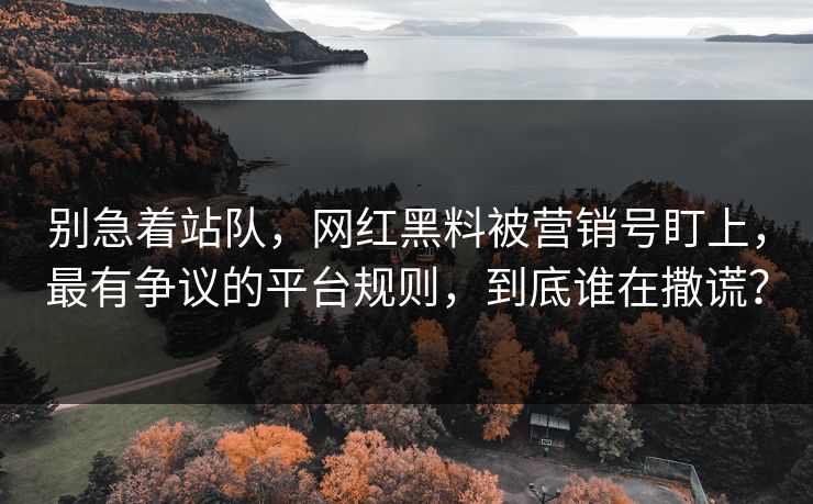 别急着站队,网红黑料被营销号盯上,最有争议的平台规则,到底谁在撒谎? 别急着站队,网红黑料被营销号盯上,最有争议的平台规则,到底谁在撒谎?